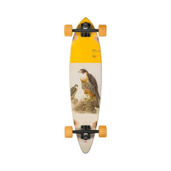 Globe Skateboard Cruiser Complete Pintail 34
