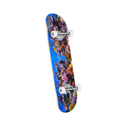 Mini Logo Skateboard Complete Fish Tank 7.75