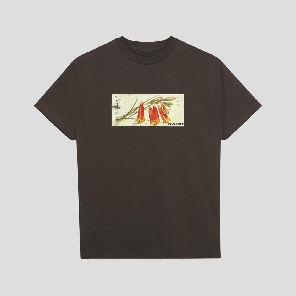 Passport Skate Tin Floral Tee Choc - 50-50 Skate Shop