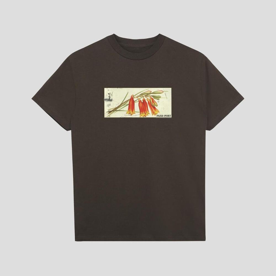 Passport Skate Tin Floral Tee Choc - 50-50 Skate Shop