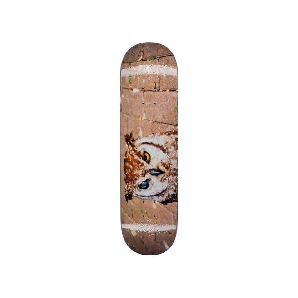 Fucking Awesome Skateboard Deck Owl Photo Jason Dill 8.38" x 31.85" 14.12" WB - 50-50 Skate Shop