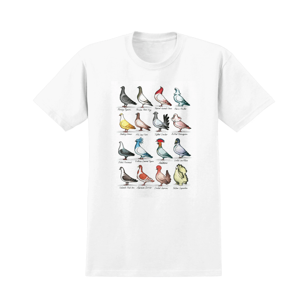 Antihero Skate Tee Show Pigeons White - 50-50 Skate Shop