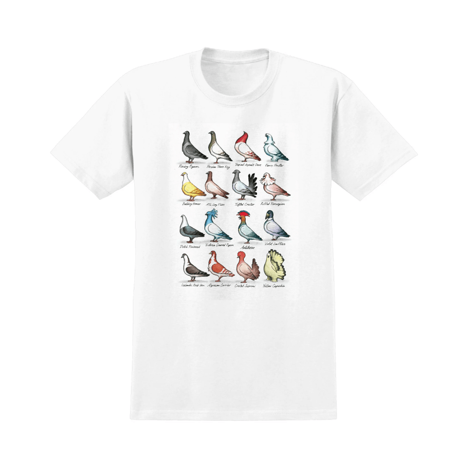 Antihero Skate Tee Show Pigeons White - 50-50 Skate Shop