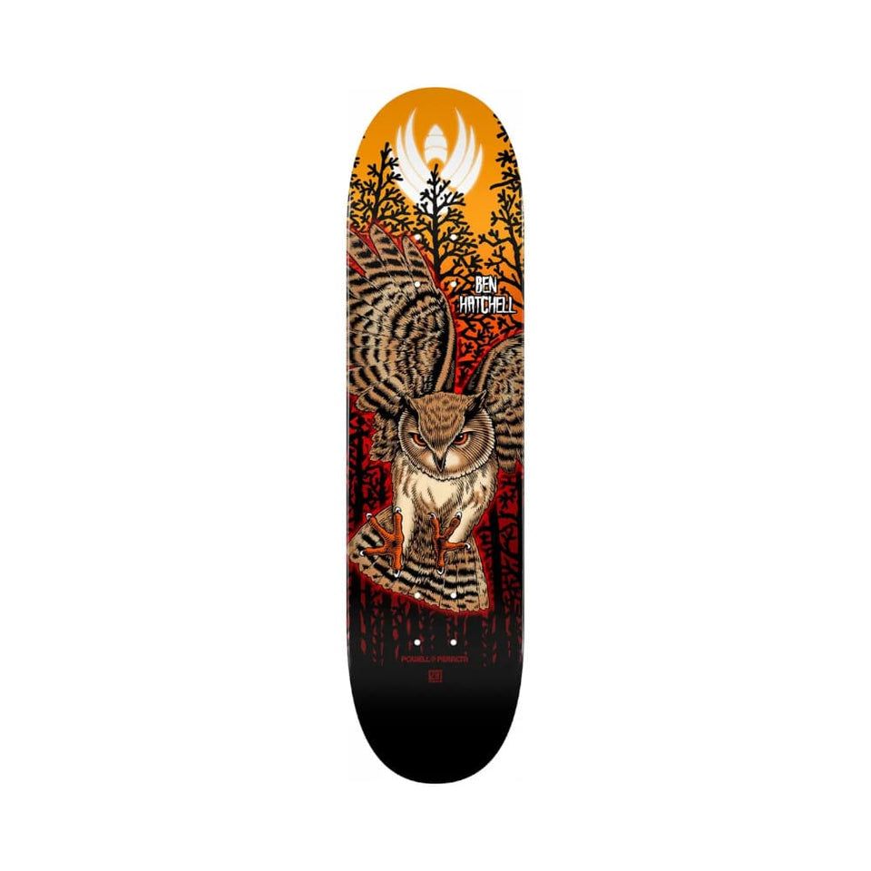 Powell Peralta Skateboard Deck Flight Construction Hatchell Owl 8.5" x 32.08" Shape 249 - 50-50 Skate Shop