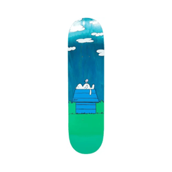 Ripndip Skateboard Deck Not Today 8.5
