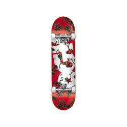DGK Skateboard Complete Bloom 7.75