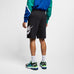 Nike SB Sportswear Alumni Shorts Black White - 50-50 Skate Shop