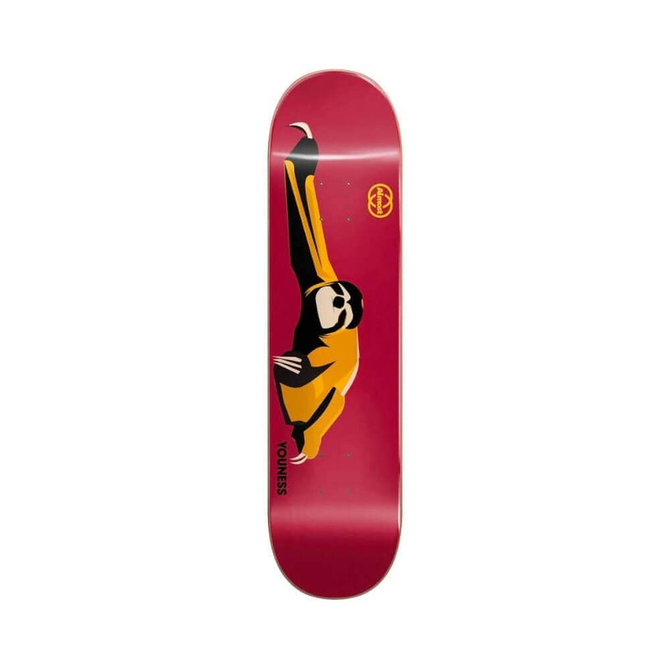 Almost Skateboard Deck Animals R7 8.0" x 31.7" Youness Amrani 14.25" WB - 50-50 Skate Shop