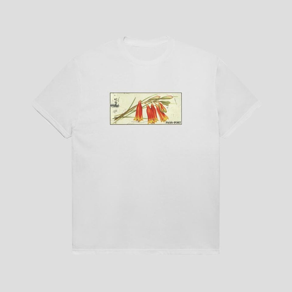 Passport Skate Tin Floral Tee White - 50-50 Skate Shop