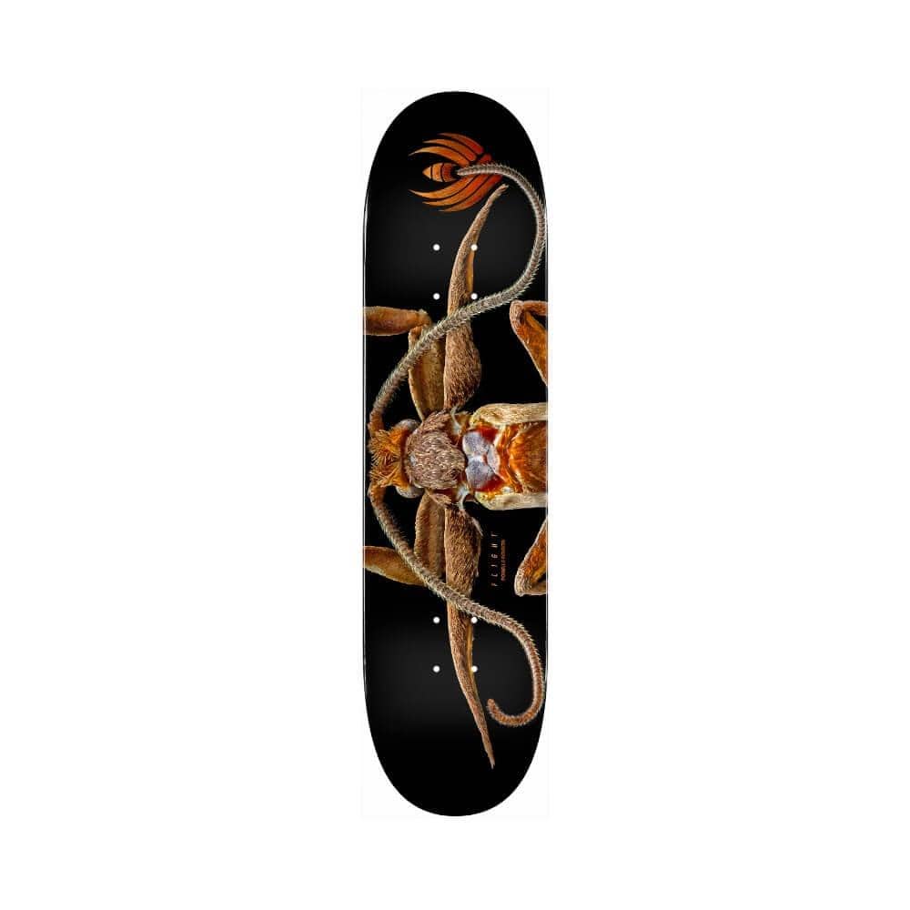 Powell Peralta Skateboard Deck Flight Marion Moth 8.25" x 31.95" 243 Shape 14.25" WB - 50-50 Skate Shop