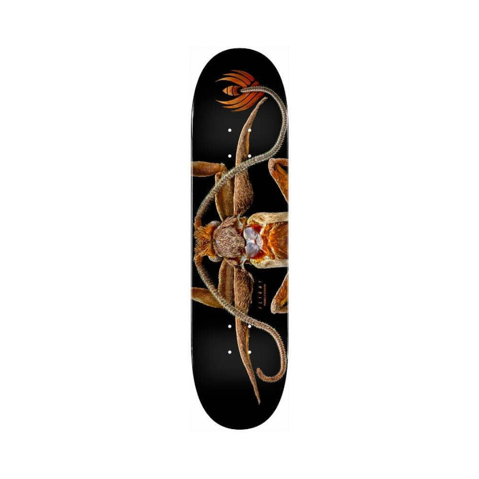 Powell Peralta Skateboard Deck Flight Marion Moth 8.25" x 31.95" 243 Shape 14.25" WB - 50-50 Skate Shop