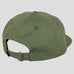 Passport Skate Quill Patch 6 Panel Cap Sage Green - 50-50 Skate Shop