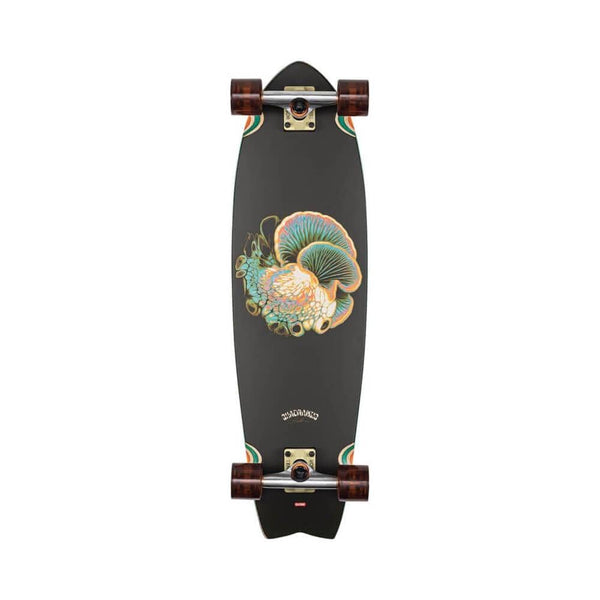 Globe Skateboard Cruiser Complete Chromantic 33" Bio-Morph - 50-50 Skate Shop