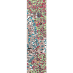 Fruity Skateboard Grip Tape 9